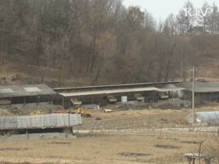 설 귀성·귀경길 특별교통대책 시행