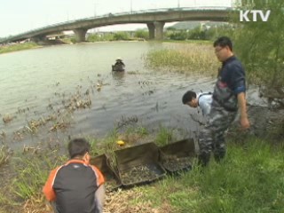 태화강 배스를 퇴치하라