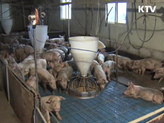 "한미FTA, 더 이상 미룰 수 없어"