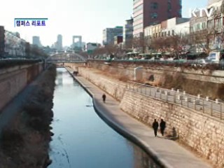 대학천 상가를 아시나요?