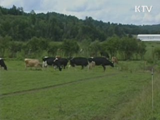 미국 현지조사단 "비정형 BSE 확인"