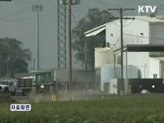 방미 조사단, 농장주와 서면 문답 조사