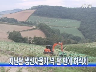 지난달 생산자물가 넉 달 만에 하락세