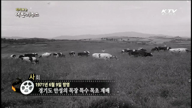 다시보는 대한늬우스 (71.06.09)