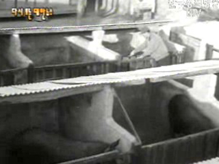 재향군인 모범 부락(`70)