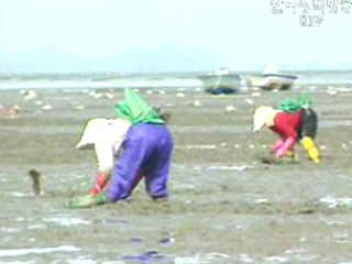 부안 줄포만 갯벌 습지보호지역 지정