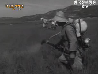 밝아오는 새 농촌(`68)