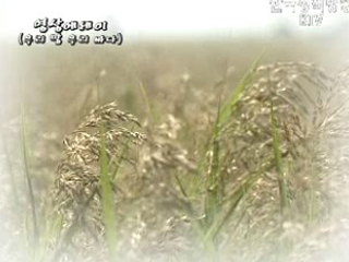 우리 땅 우리 바다