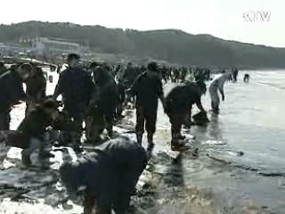 유류오염 피해 보상 확대 추진