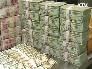 "외채 만기연장률 91%…위기 없다"