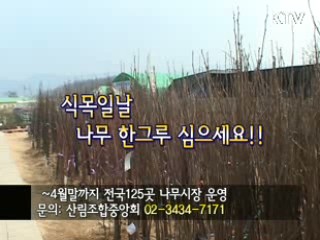 [지금 대한민국] 나무시장에 들러보세요~