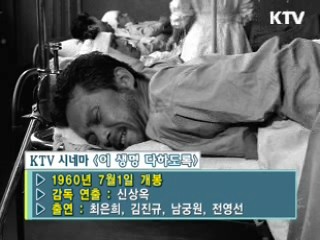 신상옥 감독 '이 생명 다하도록' [KTV 시네마]