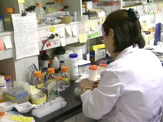 신종플루 고위험군 조기처방 당부