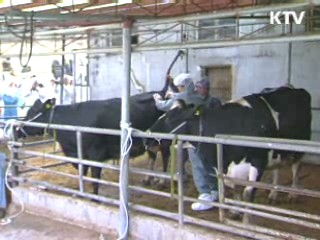 구제역 확산방지에 관계부처 총력