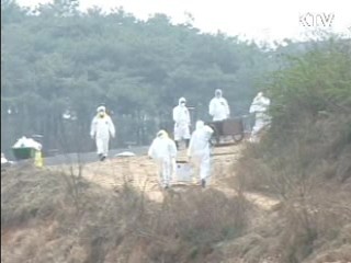 구제역·AI 확산…정부 차단방역 총력