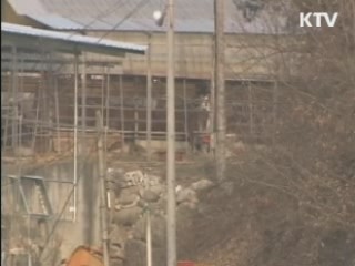 정부, 구제역 백신접종 여부 신중 검토