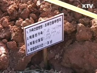 매몰지 안전시공 5대 원칙 시달