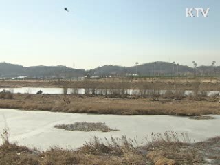 "매몰지로 인한 상수원 오염 가능성 없어"