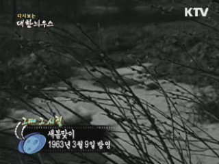 다시보는 대한늬우스 ('63.03.09)