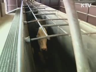 광우병 민관조사단 美 현지조사 시작