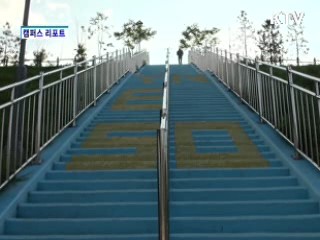 강촌 프로포즈 계단 아시나요 [캠퍼스 리포트]