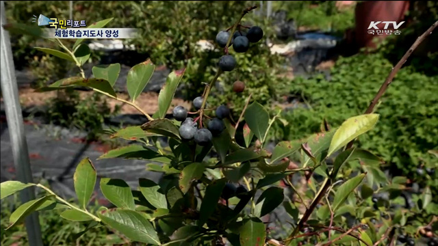 농촌체험 관광 인기… 체험학습지도사 양성