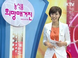 전남 진도 관매도 마을