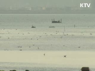 능동적 치수, 문화거점 특화