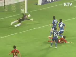 오늘의 정책(전체)