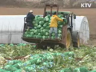 '농어촌 공동체회사' 3천개 육성