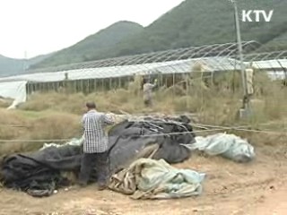 겨울철 농어촌 일자리 8만개 창출