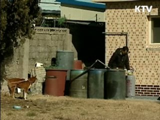 연평도 피해 대책 300억원 즉시 집행