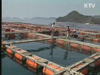 어장환경 개선 등 '新수산 프로젝트' 추진