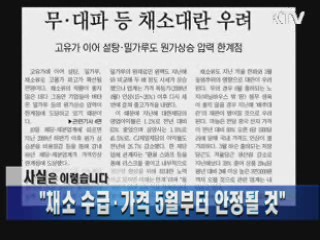 "채소 수급·가격 5월부터 안정될 것"