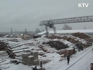 '푸른 산' 넘어 '유용한 산' 가꾼다