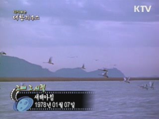 새해아침 등(78년)