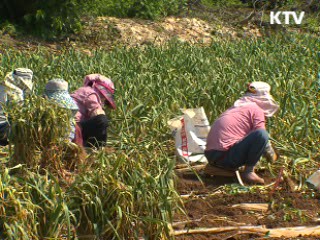 한-중, FTA 협상 개시 공식 선언