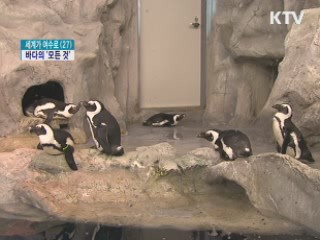 흰돌고래부터 미래해양까지 '한눈에'