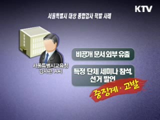 서울교육청 공무원 293명 징계·고발…전 감사관 포함
