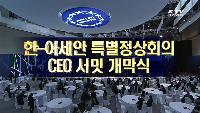 한·아세안 특별정상회의 CEO 서밋 개막식