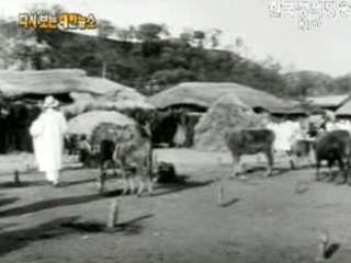 농촌의 5일장(`60)