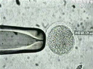 `국가 생명자원 관리` 청사진 만든다.