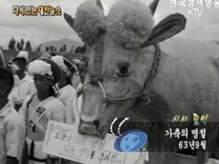 가축의 명절('63)