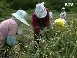 2월 수출 소폭 증가