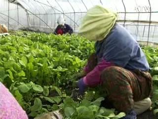 7월 농업용 면세유 공급대상 확대