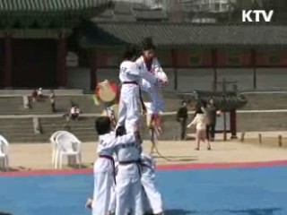 고궁에서 세계인과 함께 즐기는 '태권도 문화 공연' [문화현장]