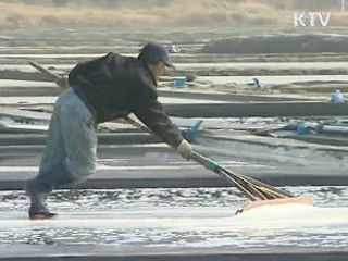 천일염 기술 개발, 쓴맛 제거 하루만에