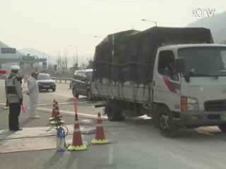 인천 강화서도 구제역 발생…4개 시도 확산