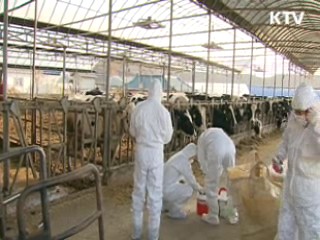 구제역 피해 농가 재산세 감면