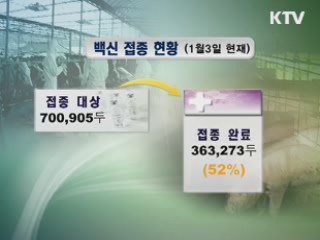 발생지역 확대···광역 백신 접종